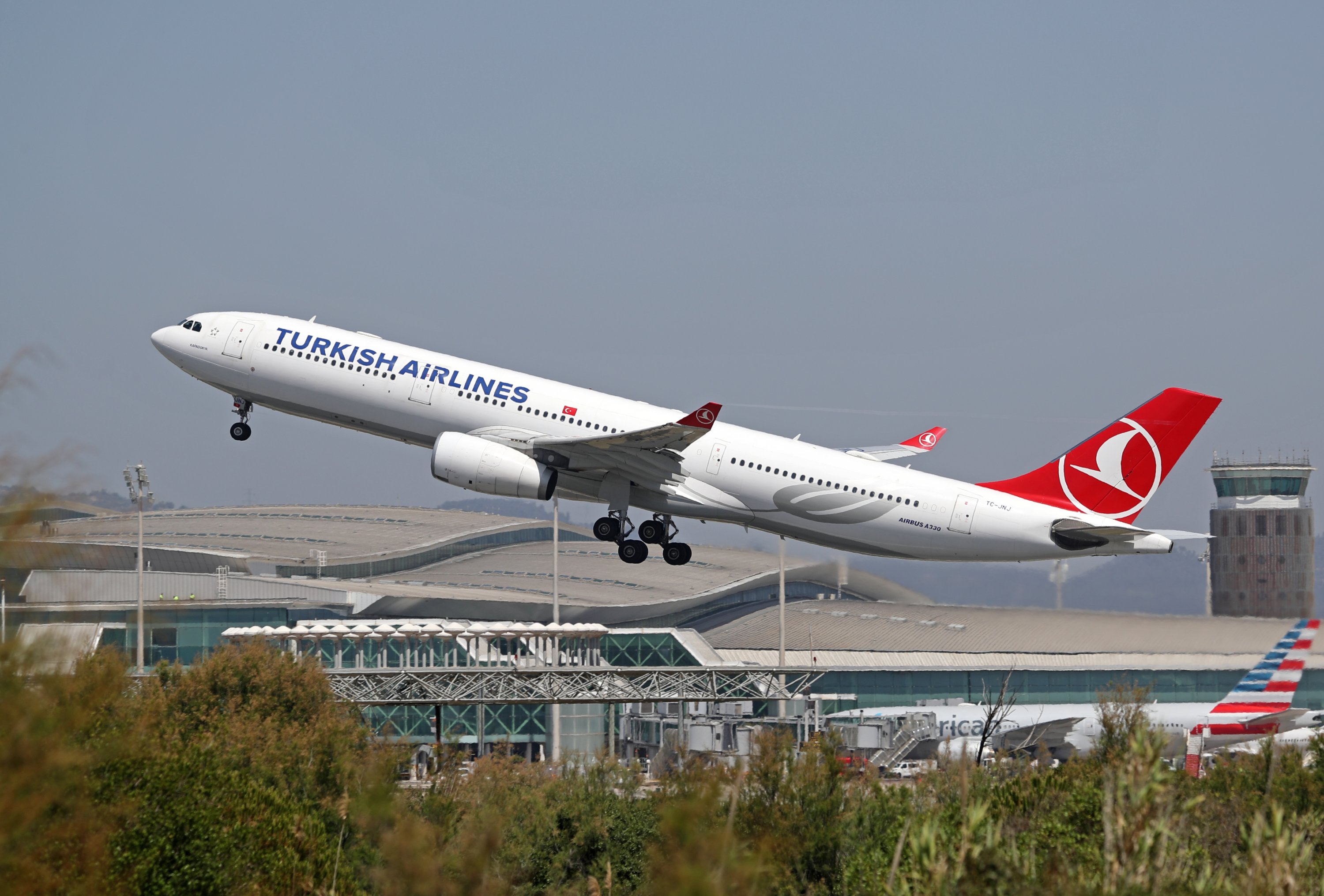 Туркиш эйрлайнс отзывы. Туркиш Airlines. Эйрлайнс. Компоновка a330 Turkish Airlines. Турки.