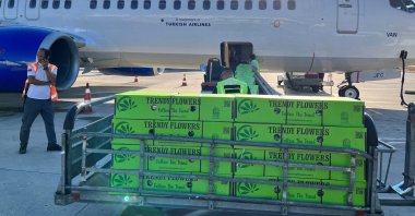 Flowers in boxes are loaded onto an aircraft for delivery to Britain after a surge in orders following the death of Queen Elizabeth, at Antalya International Airport in Antalya, Türkiye, Sept. 14, 2022. (Turkish Airlines via Reuters)