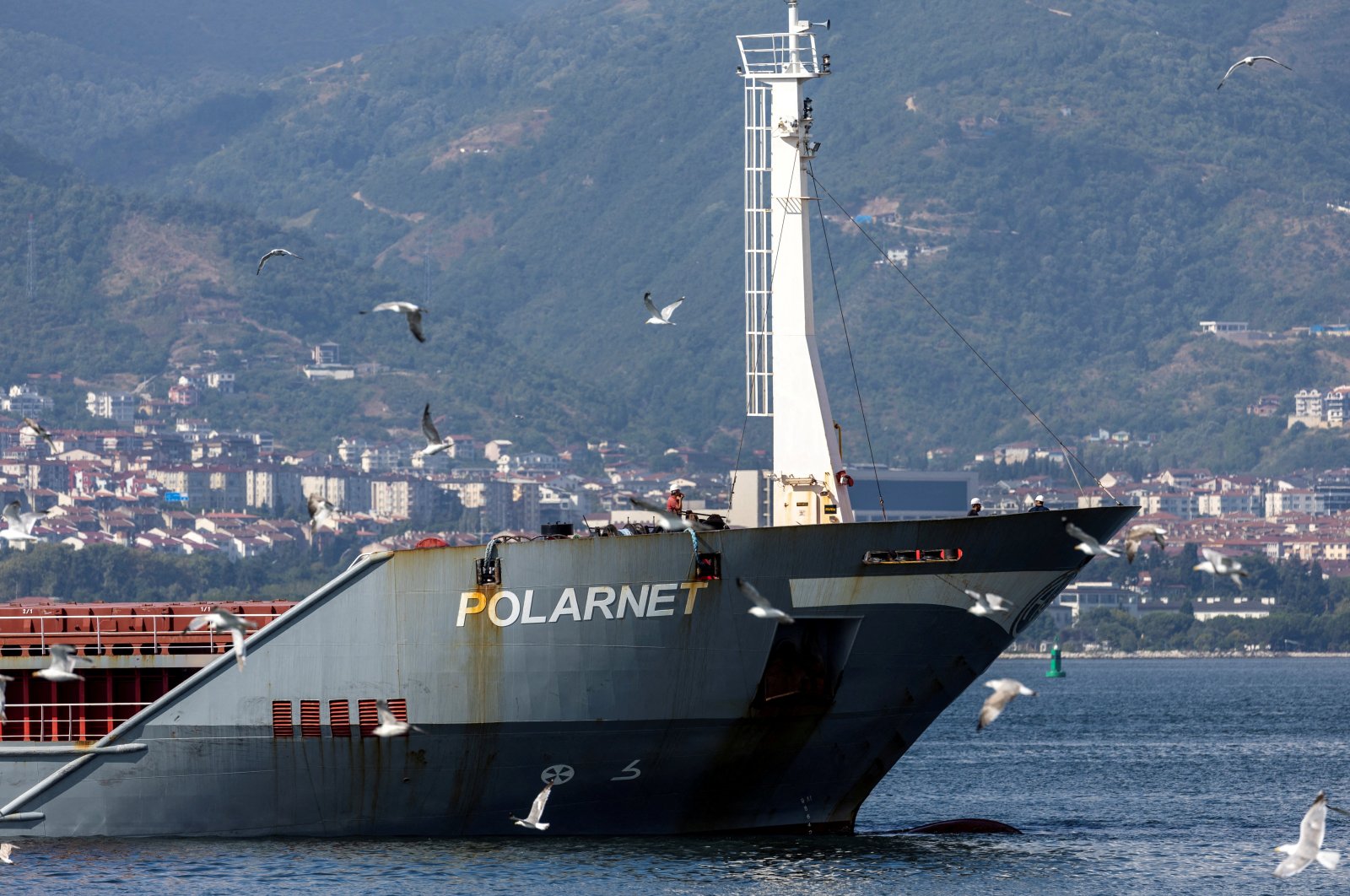 The Turkish-flagged cargo ship Polarnet, carrying Ukrainian grain, approaches its final destination, marking the completion of the first shipment since the exports were relaunched from Ukraine, at Safiport Derince in the gulf of İzmit in Kocaeli province, northwestern Türkiye, Aug. 8, 2022. (Reuters Photo)