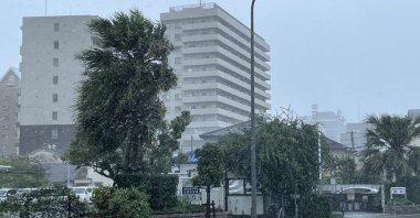Trees are blown by strong winds generated by Typhoon Nanmadol in Miyazaki, Kyushu island, southwestern Japan, Sept. 18, 2022. (EPA Photo)
