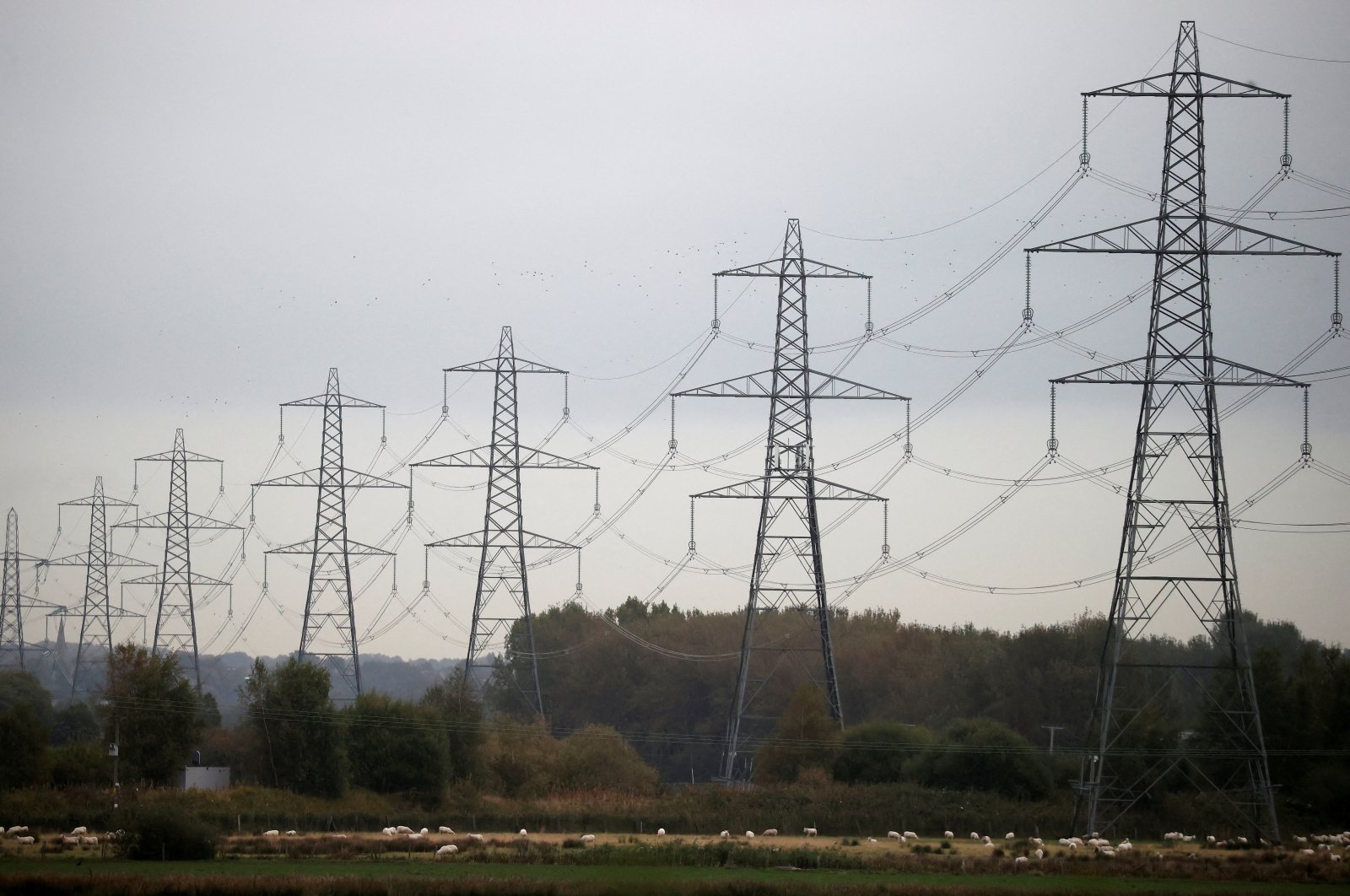 Sheep graze beneath a row of electricity pylons near Ellesmere Port, Britain, Oct. 11, 2021. (Reuters Photo)