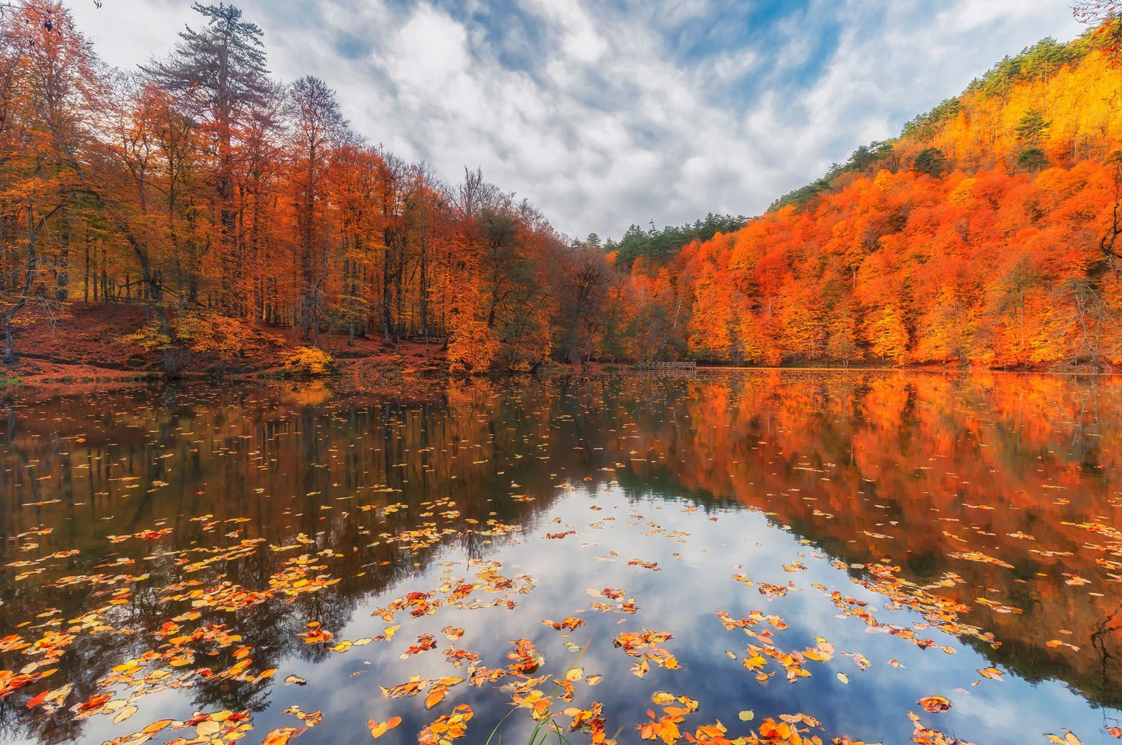 The start of fall is a precious time of year in Türkiye, especially in places like Yedigöller, Bolu. (Shutterstock Photo)