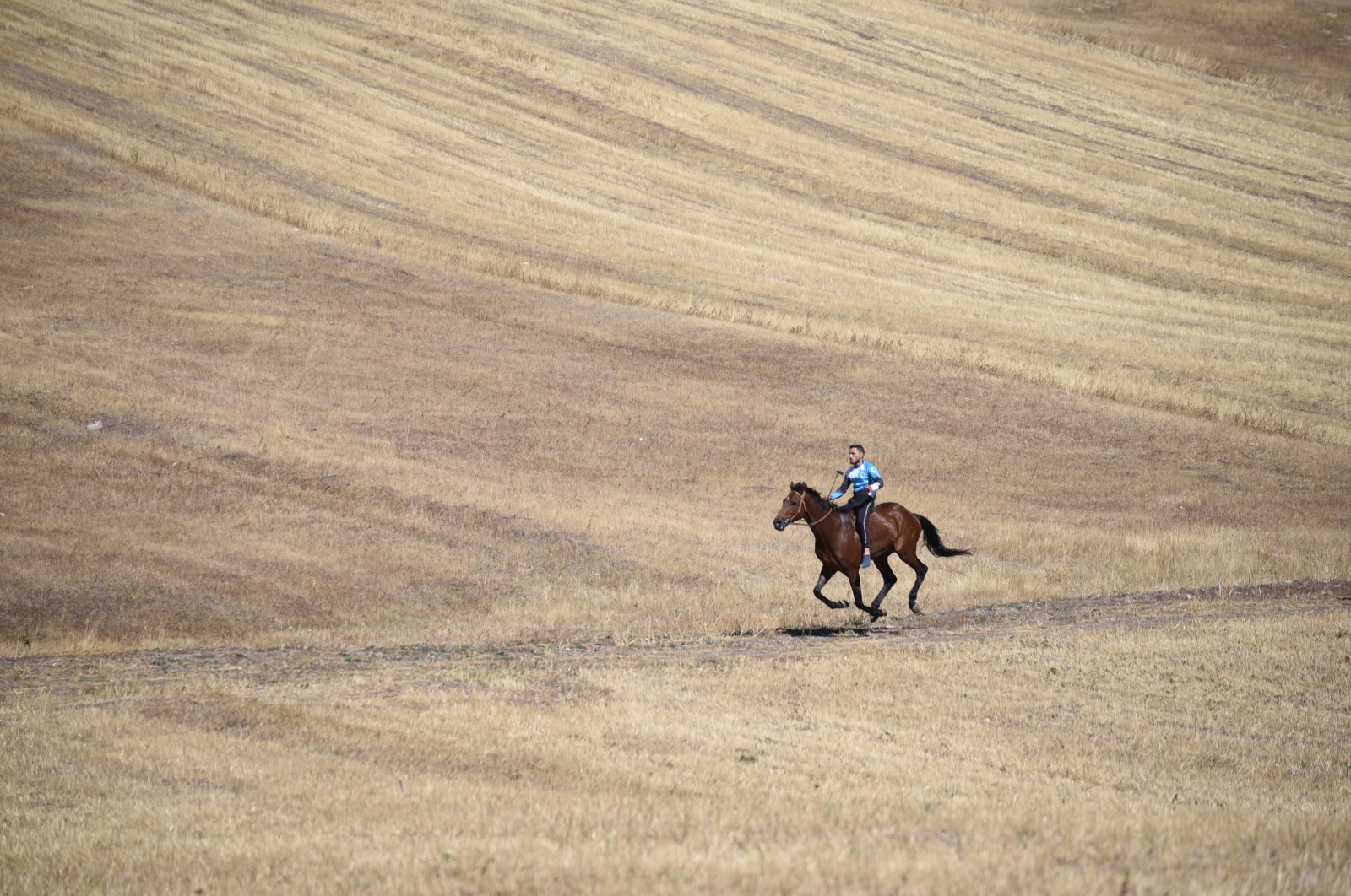 Jockeys gallop through eastern Türkiye's Kars in traditional race - Daily Sabah