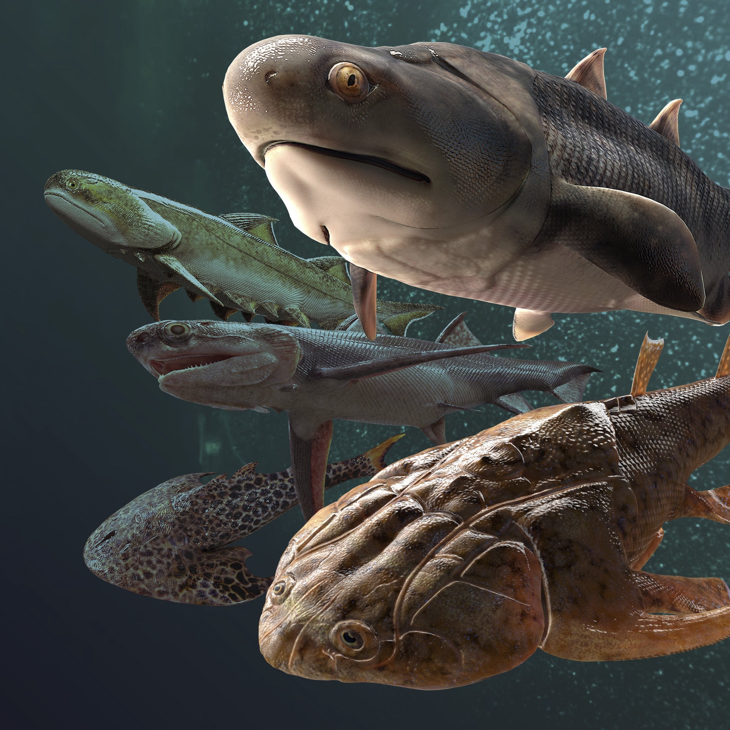 Ilustrasi yang diberikan oleh Heming Zhang pada September 2022 ini menggambarkan beberapa fosil ikan, berusia lebih dari 400 juta tahun, yang ditemukan oleh para peneliti di Cina selatan, diumumkan dalam serangkaian penelitian yang diterbitkan dalam jurnal Nature, 28 September 2022. (Heming Zhang melalui AP)