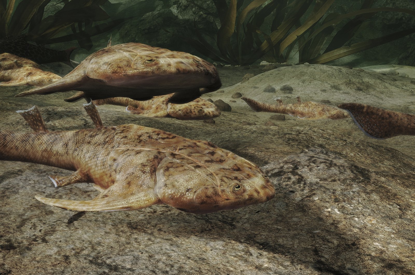 Fosil ikan yang ditemukan di China menjelaskan evolusi manusia: Peneliti