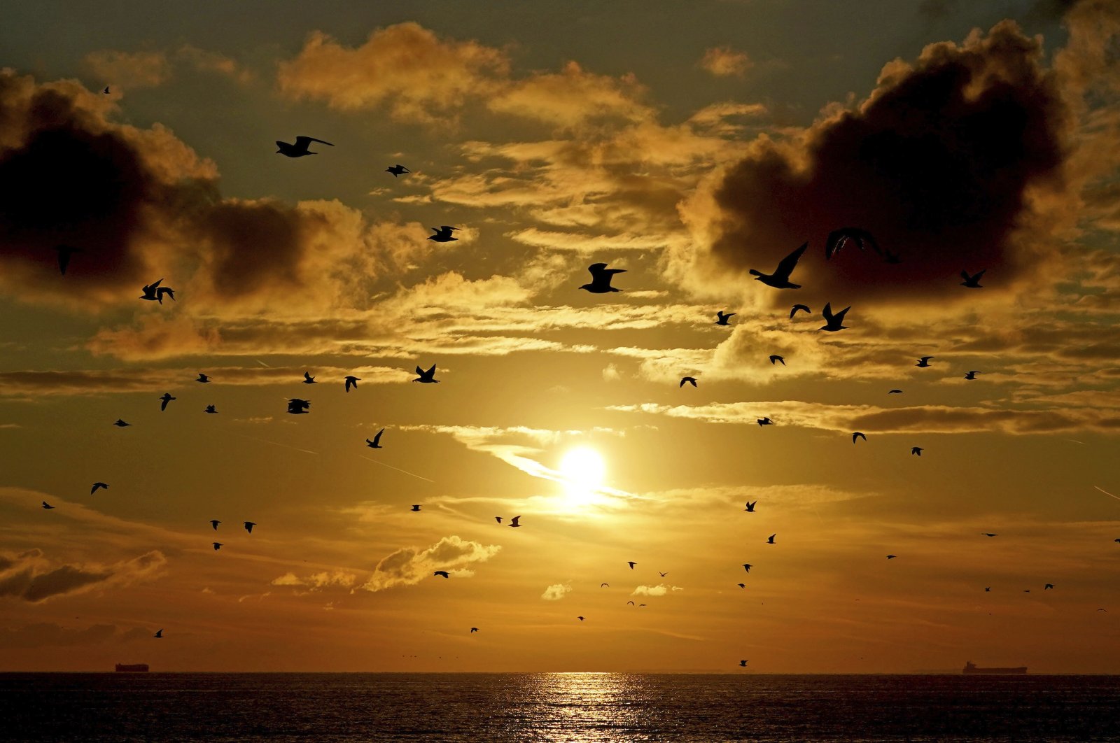A flock of birds fly in the sky as the sun rises over Dungeness in Kent, U.K., Sept. 21, 2022. (AP Photo)