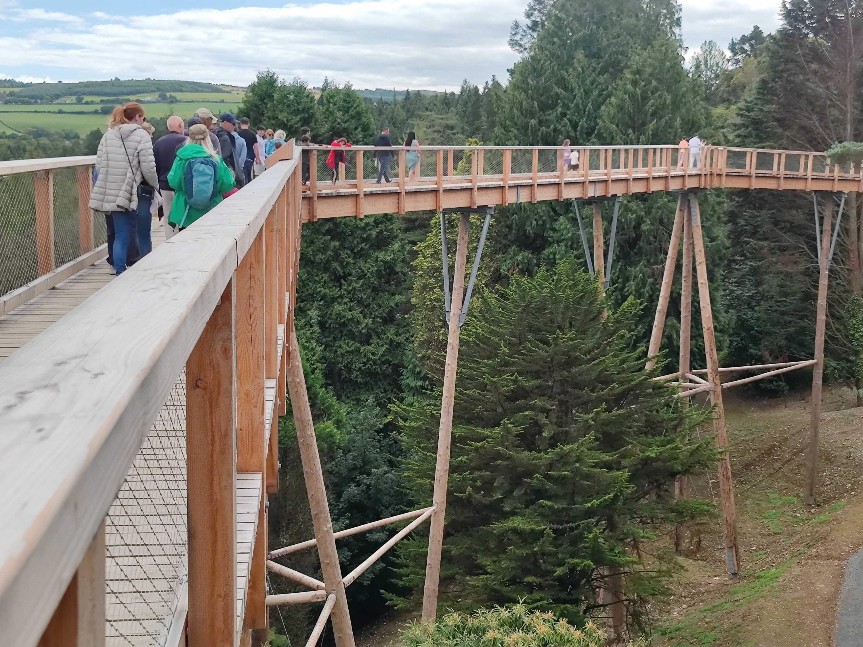 Jalan di puncak pohon baru di Irlandia membawa pengunjung melintasi taman hutan di dekat Pegunungan Wicklow dan dengan cepat menjadi landmark wisata utama bagi pengunjung Dublin, Irlandia, 30 Juli 2022. (Foto dpa)