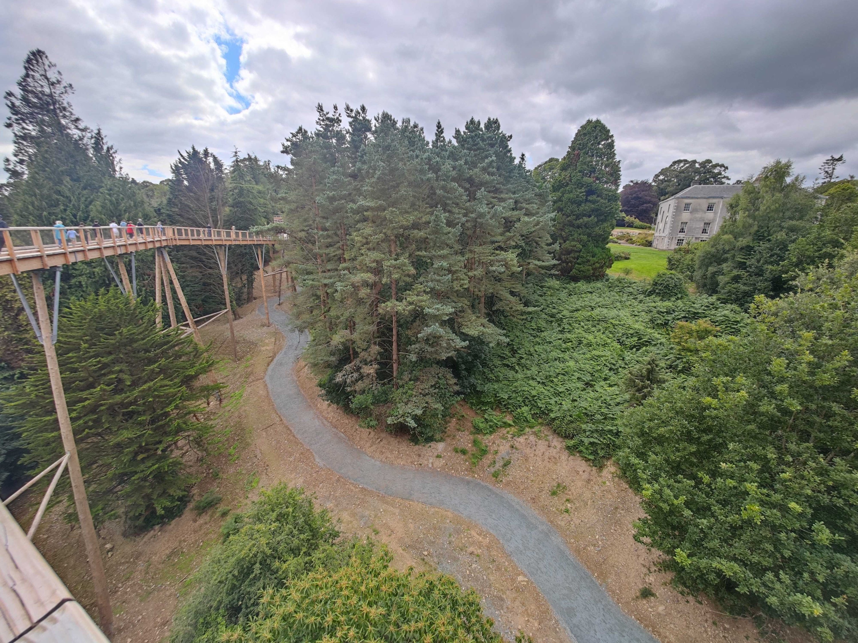 Jalan-jalan di puncak pohon Irlandia yang baru membawa pengunjung melewati taman hutan di dekat Pegunungan Wicklow dan dengan cepat menjadi landmark wisata utama bagi pengunjung Dublin.  (foto dpa)