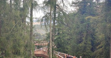 Ireland's new treetop walk takes visitors over a forest park by the Wicklow Mountains and is fast becoming a major tourist landmark for Dublin visitors, Dublin, Ireland, July 30, 2022. (dpa Photo)