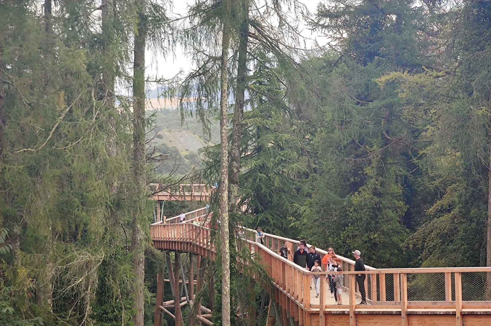 Ireland&#039;s new treetop walk takes visitors over a forest park by the Wicklow Mountains and is fast becoming a major tourist landmark for Dublin visitors, Dublin, Ireland, July 30, 2022. (dpa Photo)