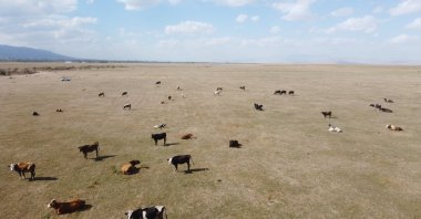 An aerial view of Lake Akşehir, which has been hit by severe drought, Akşehir, Türkiye, Oct. 3, 2022. (AA Photo)