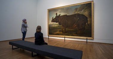The showpiece of the exhibit &quot;Clara the Rhinoceros&quot; at Amsterdam&#039;s Rijksmuseum is a life-size painting of Clara by French artist Jean-Baptiste Oudry, Amsterdam, Netherlands, Sept. 27, 2022. (dpa Photo)