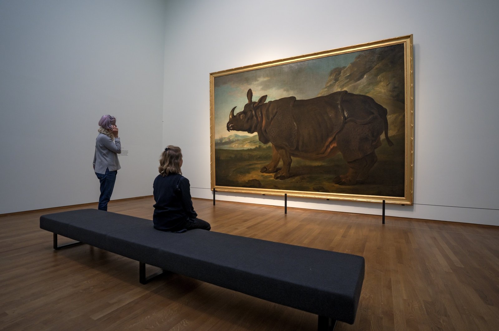 The showpiece of the exhibit &quot;Clara the Rhinoceros&quot; at Amsterdam&#039;s Rijksmuseum is a life-size painting of Clara by French artist Jean-Baptiste Oudry, Amsterdam, Netherlands, Sept. 27, 2022. (dpa Photo)