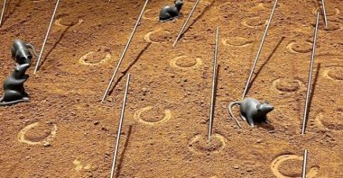 Installation from Alper Baloğlu&#039;s “Horses, Gods and Others” exhibition in Troy Museum, Çanakkale, Türkiye, Sept. 29, 2022. (Photo courtesy of the organization)