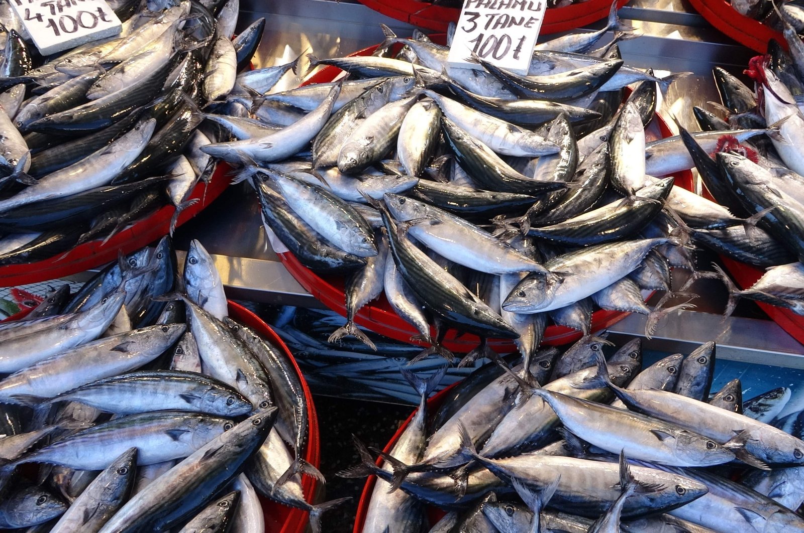 Perubahan iklim, penangkapan ikan yang berlebihan mengganggu persediaan ikan di Türkiye