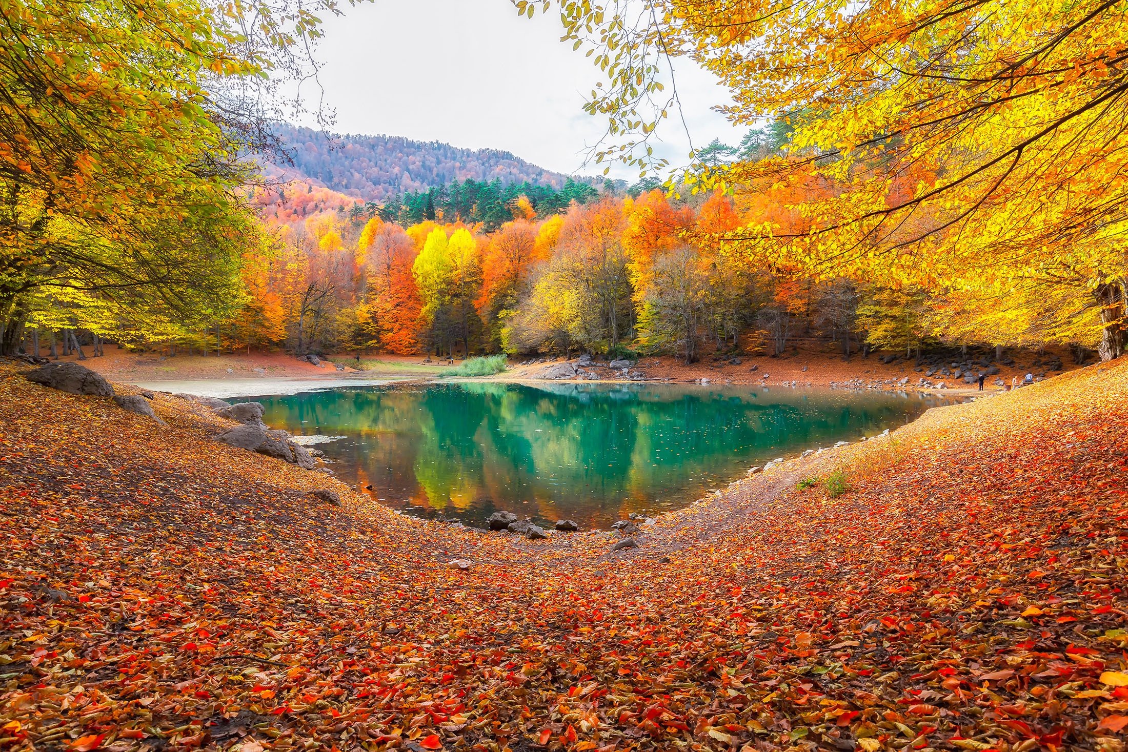 Yedigöller is a national park consisting of seven lakes, in Bolu, Türkiye. (Shutterstock Photo)