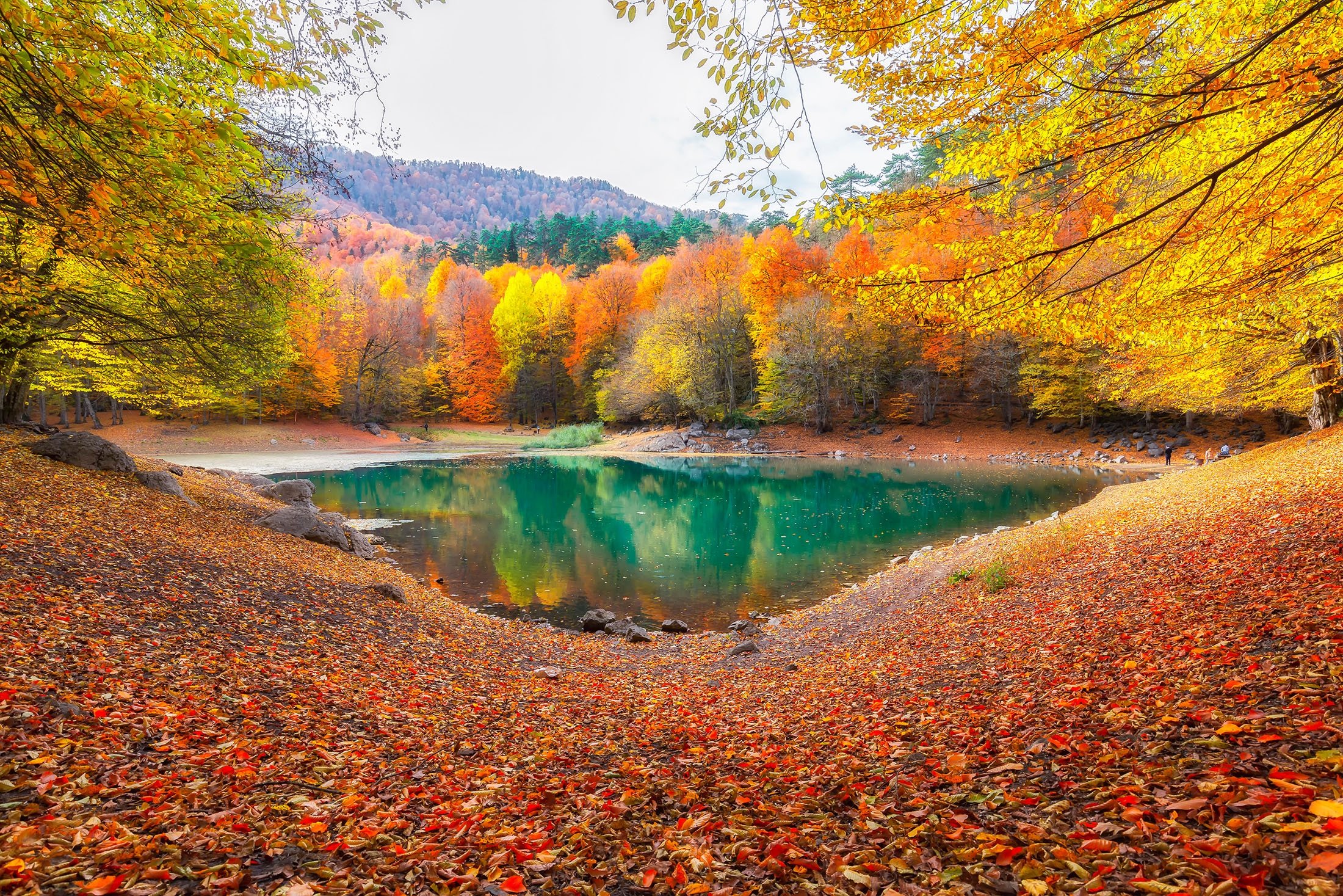 Yedigöller adalah taman nasional yang terdiri dari tujuh danau, di Bolu, Türkiye.  (Foto Shutterstock)