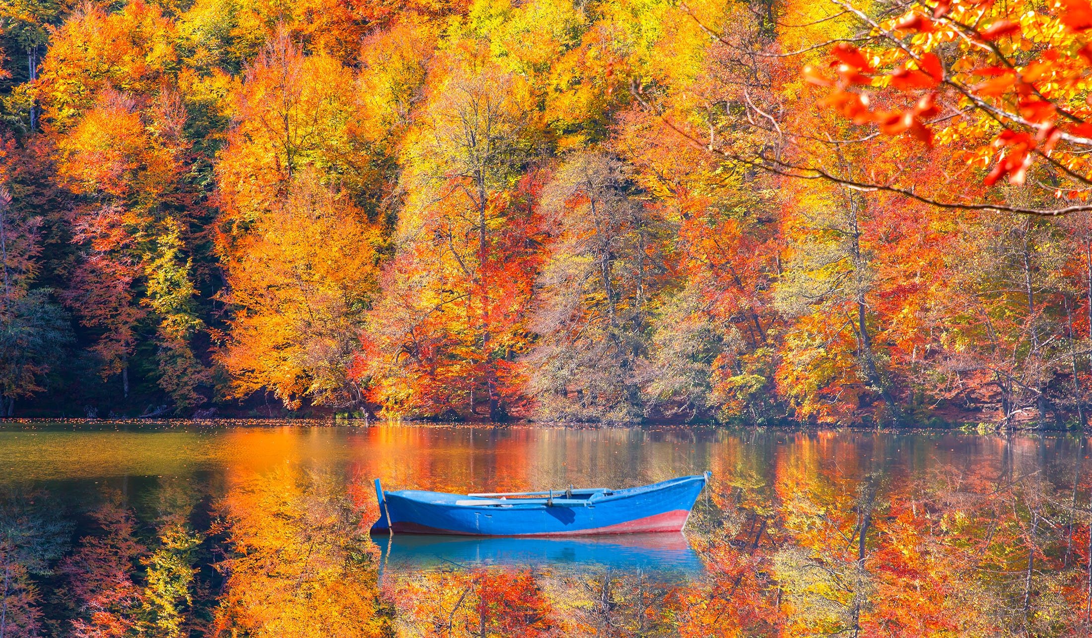 Taman Nasional Yedigöller dan tujuh danaunya memesona di musim gugur, di Bolu, Türkiye.  (Foto Shutterstock)