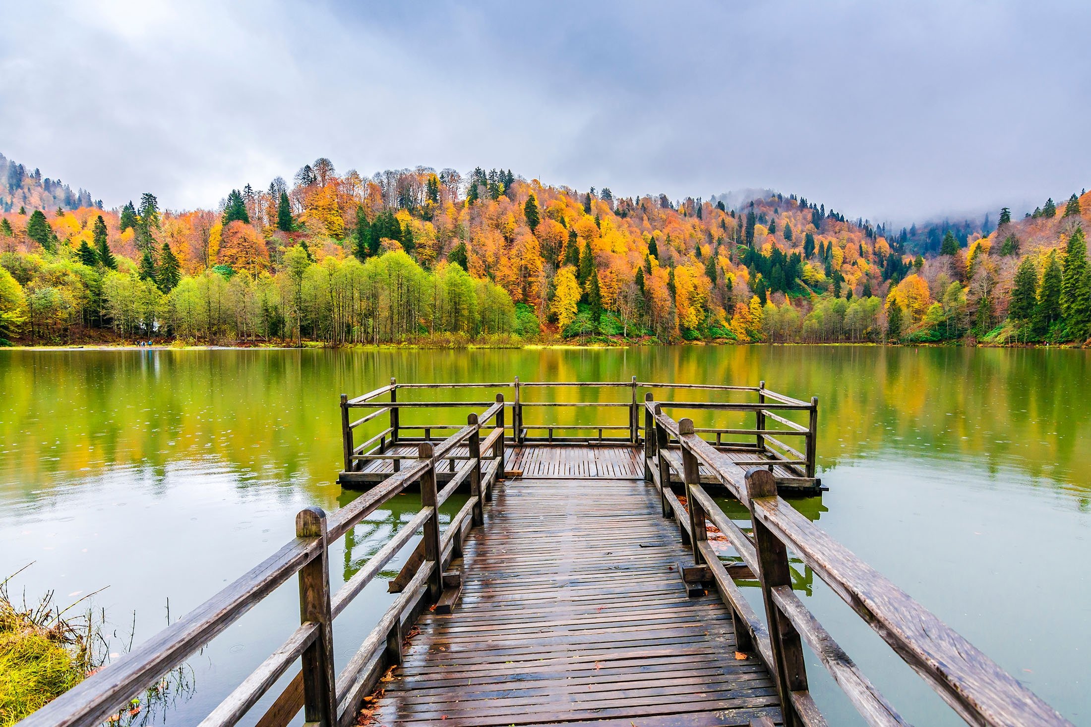 Musim gugur di Karagöl Borçka adalah pemandangan yang luar biasa untuk dilihat, di Artvin, Türkiye.  (Foto Shutterstock)