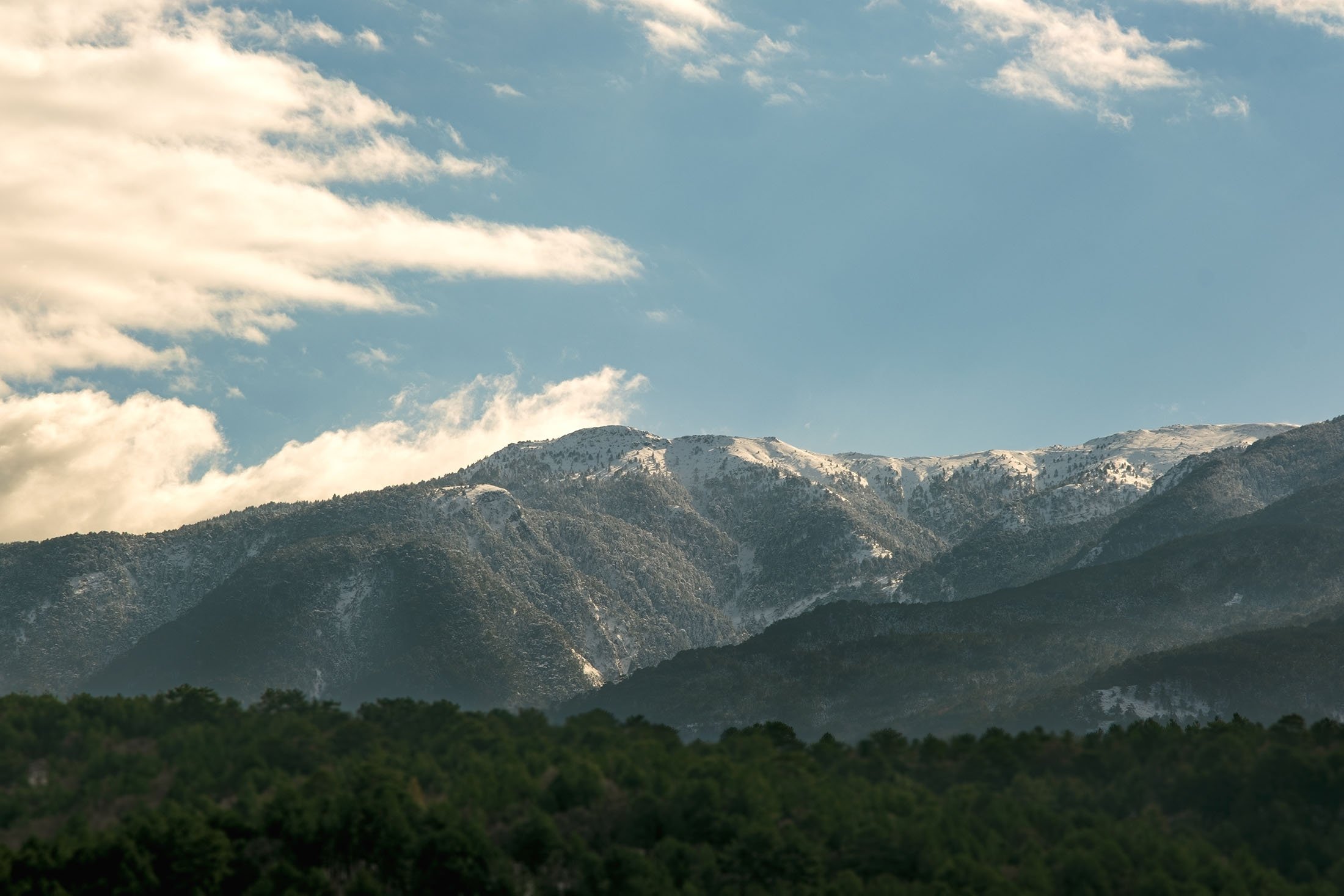 Kazdağı, atau Gunung Kaz, membentuk perbatasan antara wilayah Marmara dan Aegea, di Balıkesir, Türkiye.  (Foto Shutterstock)