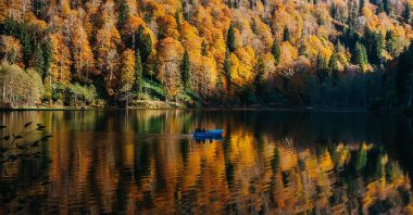 Autumn in Borçka&#039;s Karagöl is a magnificent sight to behold, in Artvin, Türkiye. (Shutterstock Photo)
