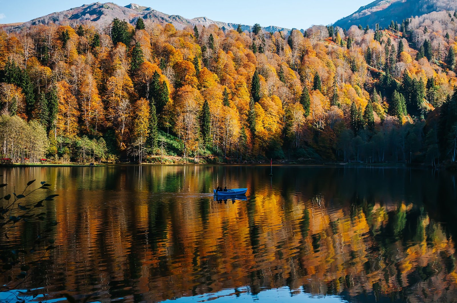 Season of yellow: 5 fascinating autumn destinations in Türkiye | Daily Sabah