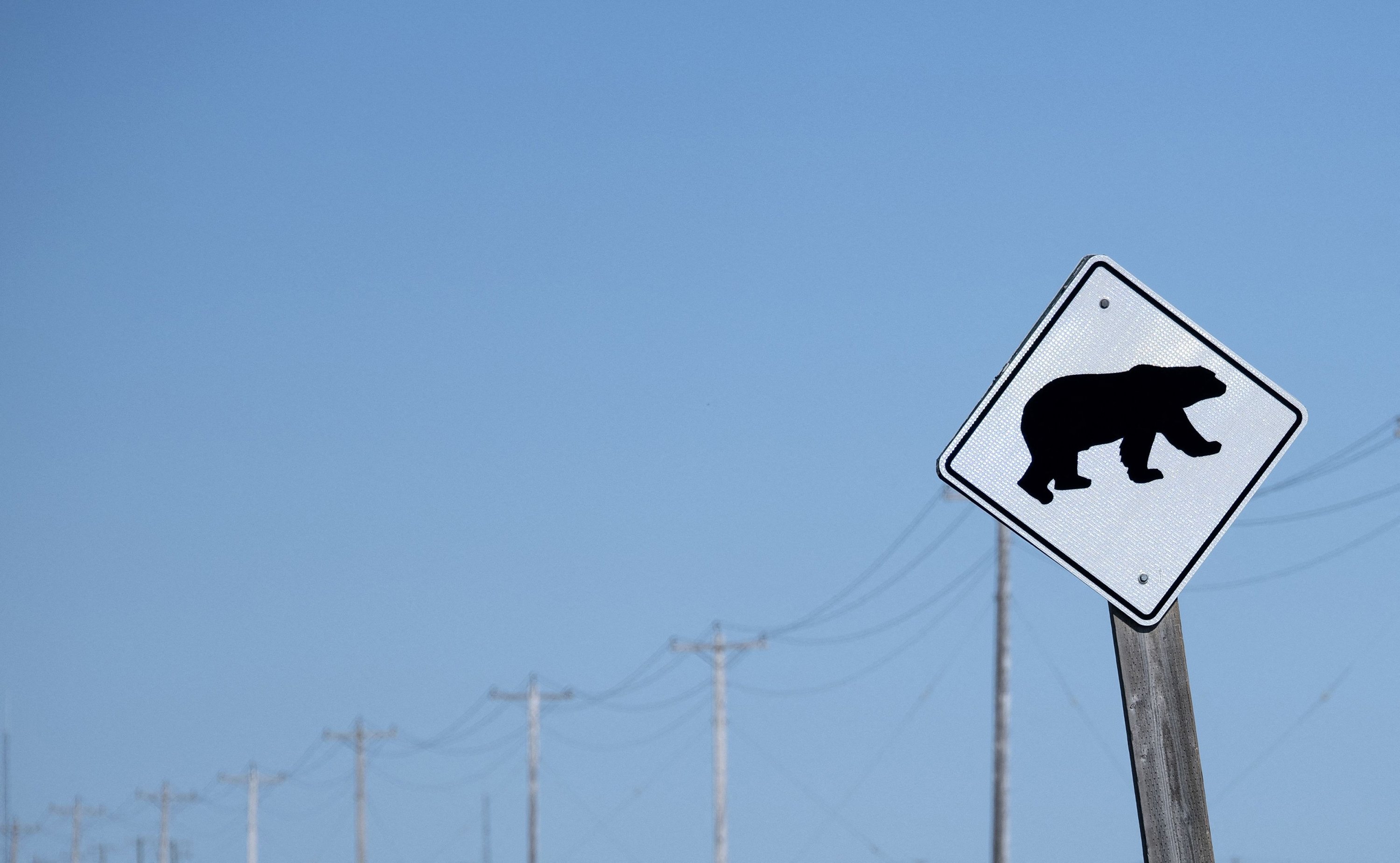Tanda peringatan beruang kutub di pinggiran Churchill, Kanada utara, 10 Agustus 2022. (AFP Photo)