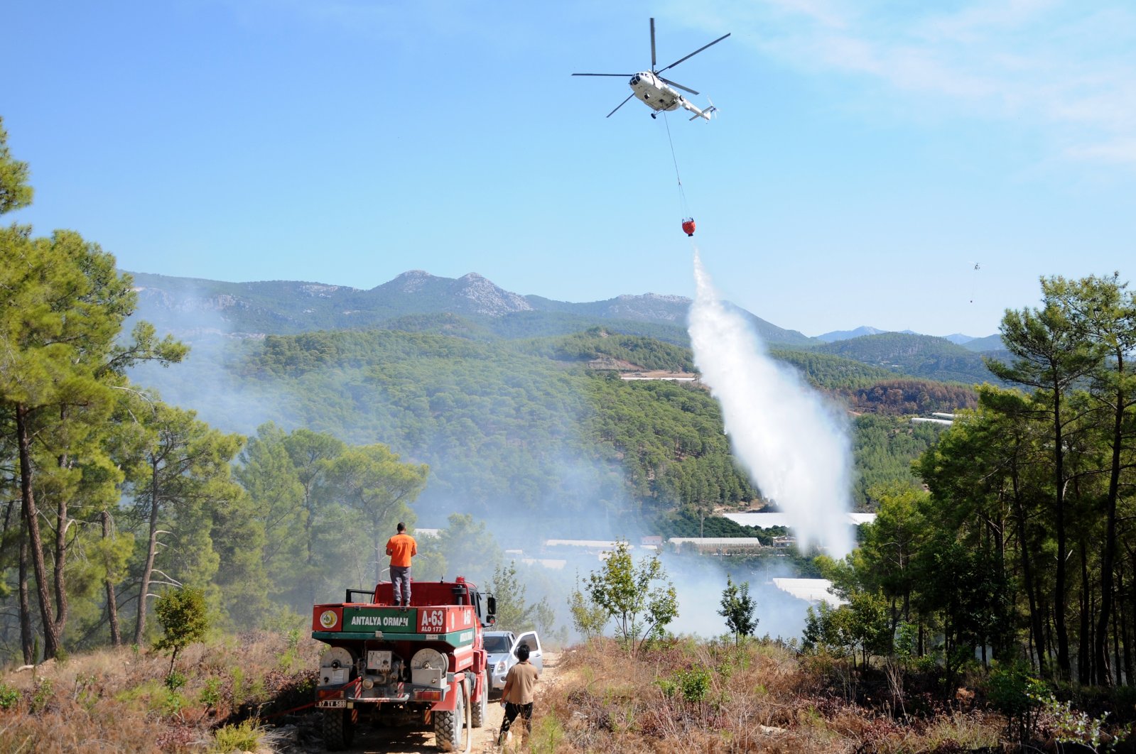 Türkiye memuji penurunan kebakaran hutan berkat tindakan, kesadaran