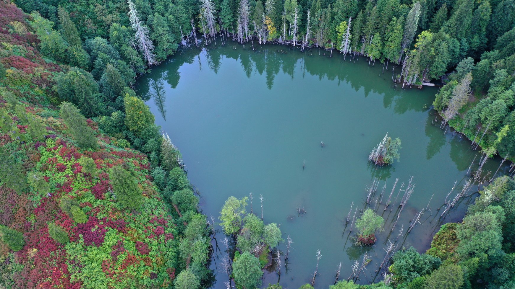 Türkiye's Borçka Karagöl Nature Park hosts 410,000 people | Daily Sabah