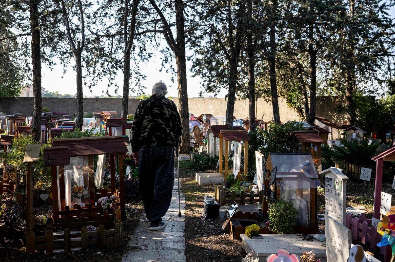The picture shows Luigi Molon, the director of the Casa Rosa pet cemetery walks past decorated graves at the pet cemetery, Rome, Italy, Oct. 5 , 2022. (AFP Photo)