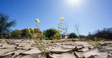 Illustration by Reuters.