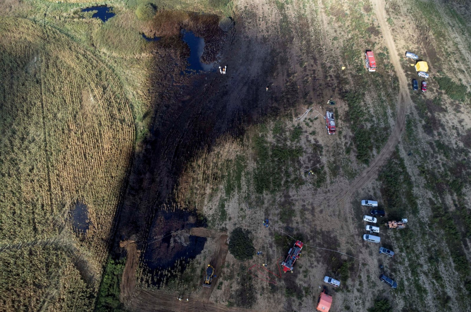 Firefighters work in the field near the Druzhba pipeline where an oil leak was detected, near the village of Zurawice, Poland, Oct.12, 2022. (Reuters Photo)