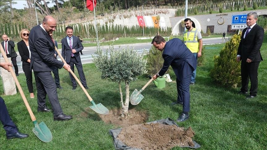 Mehmet Kalyoncu (R) plants a sapling, in Çanakkale, western Türkiye, Oct. 11, 2022. (AA PHOTO) 