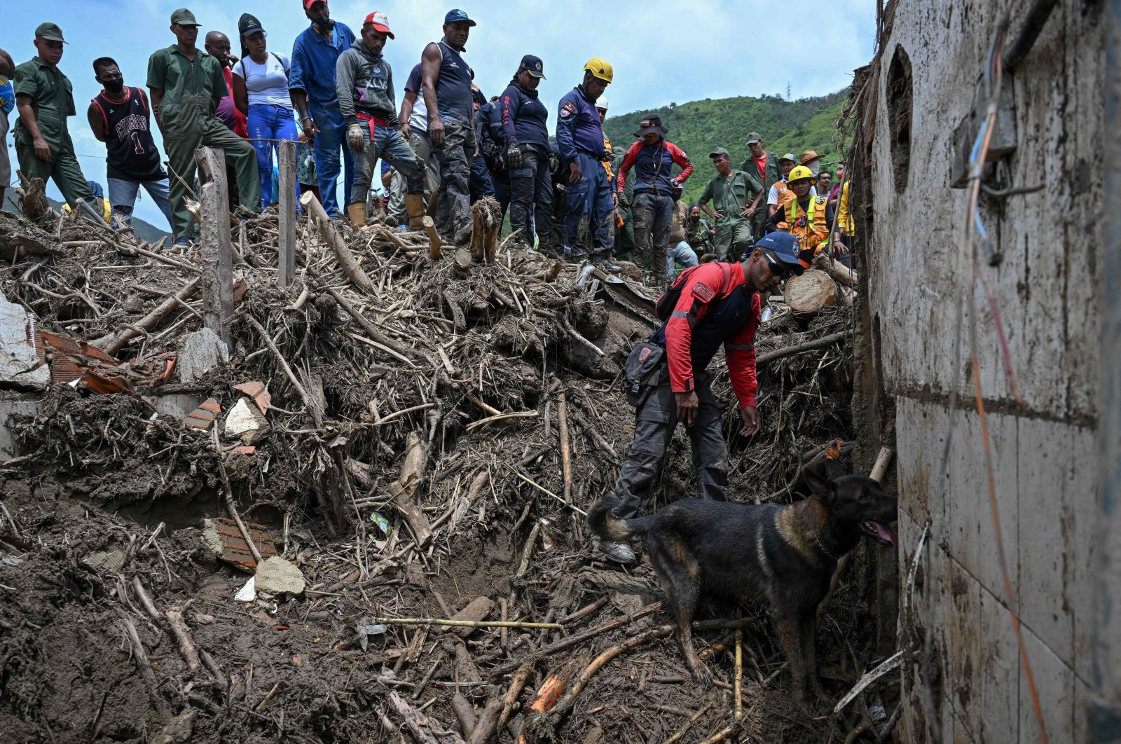 A Belgian shepherd dog, a member of the Aragua state firefighters, searches through the rubble of a destroyed house for victims, days after a devastating landslide, Las Tejerias, Aragua state, Venezuela, Oct. 13, 2022. (AFP Photo)