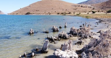 Microbialites seen on the shores of Lake Van, Türkiye, Oct. 17, 2022 (AA Photo)