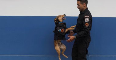 Corporal Oliveira, a rescued dog who has became a police mascot, plays with his handler Police officer Cristiano Oliveira at Rio de Janeiro's Military Police's 17th battalion, in Rio de Janeiro, Brazil, Oct. 14, 2022. (Reuters Photo)