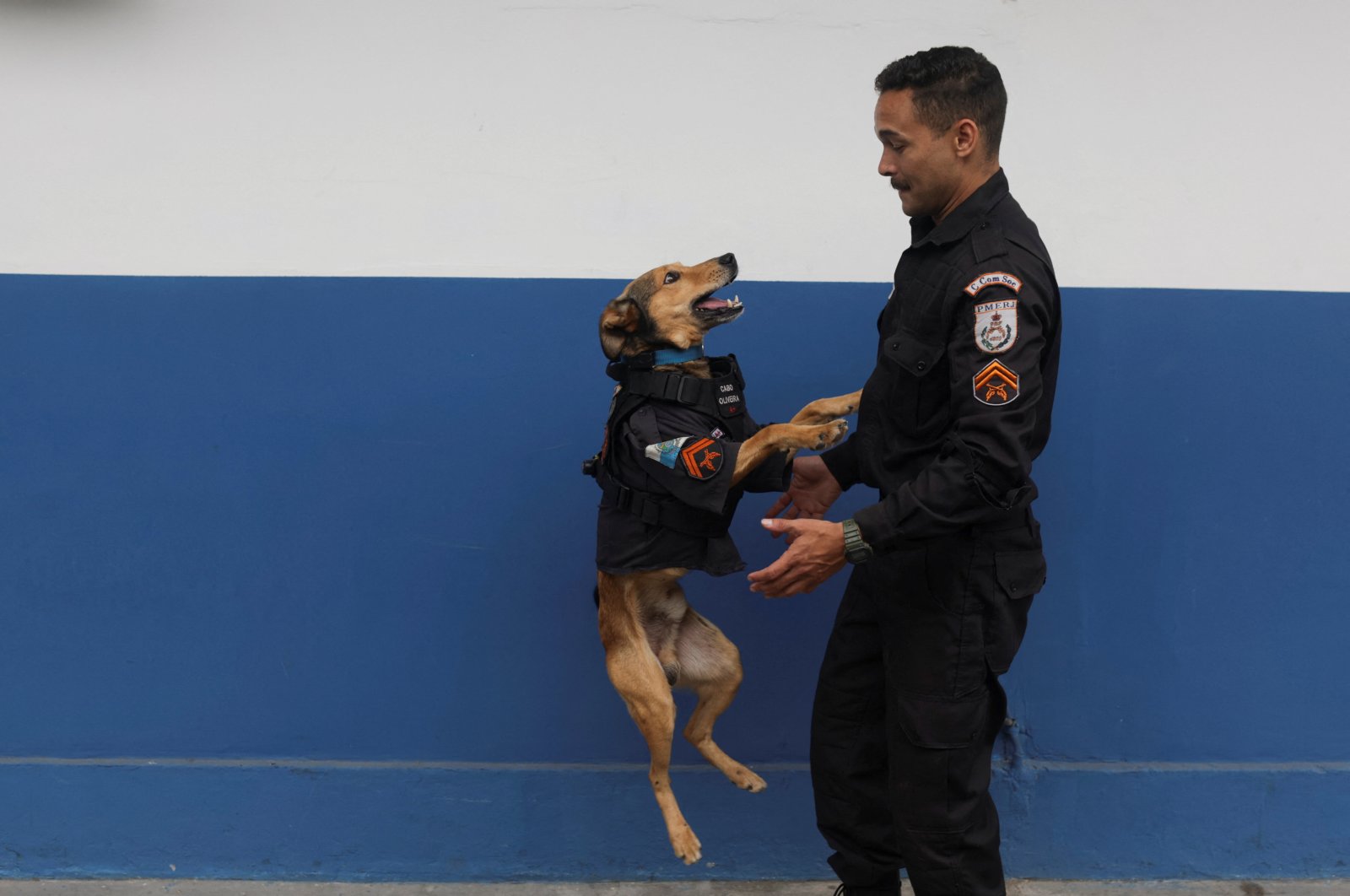 Anjing penyelamat Brasil menjadi maskot polisi berbulu, sensasi internet