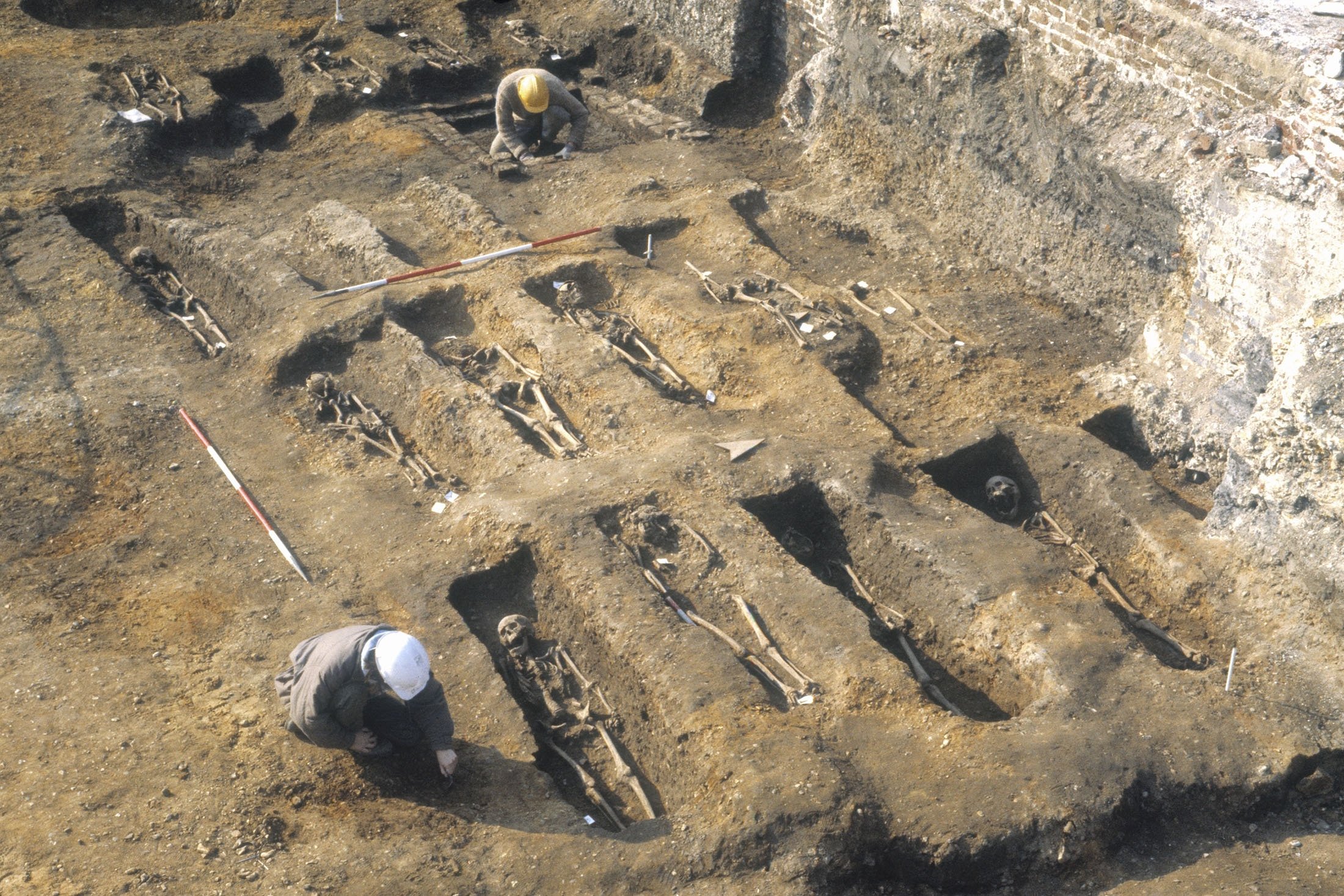 Lubang wabah Smithfield Timur yang digunakan untuk penguburan massal pada tahun 1348 dan 1349 terlihat selama penggalian mereka, di London, Inggris, Oktober 2022. (AP Photo)