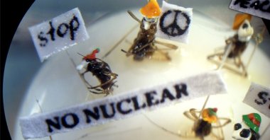 One of the micro-miniature works displayed at the Kuşadası Municipality Necati Korkmaz Micro Miniature Art Center and Exhibition Space, Aydın, Türkiye, Oct. 19, 2022. (IHA Photo)