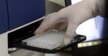Pre-clinical studies under process at Hacettepe Vaccine Institute, Ankara, Oct. 21, 2022. (AA Photo)