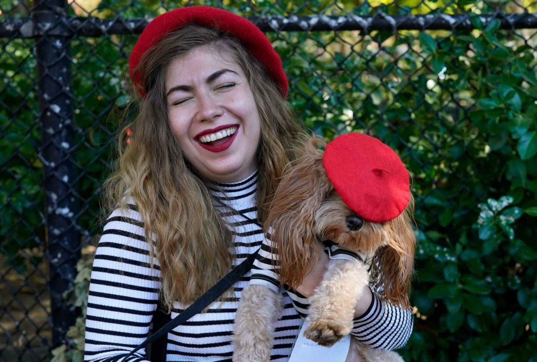 Spooktacular Pups Compete For Best Costume In Nyc 