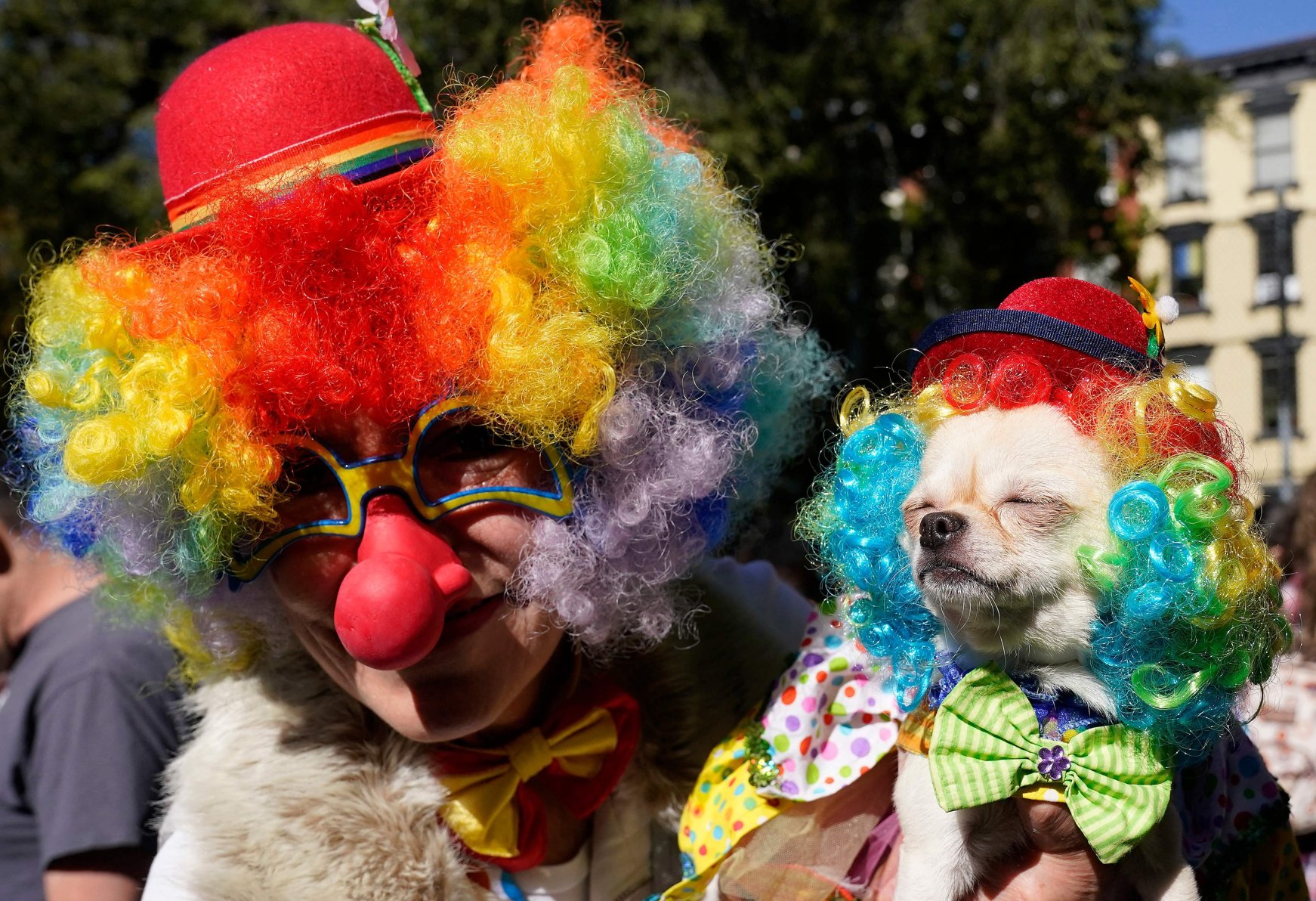 Spooktacular Pups Compete For Best Costume In Nyc 