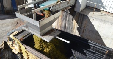 The process of converting fruit waste into fertilizer in Afyonkarahisar, Türkiye, Oct. 24, 2022. (AA Photo)