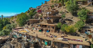 Grape harvest continues in the Akbaşak village, in Çüngüş district of Diyarbakır, Türkiye, Oct. 23, 2022. (AA Photo)