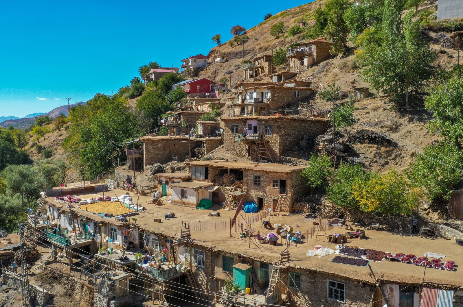 Di desa-desa Türkiye tenggara, panen anggur meningkat pesat
