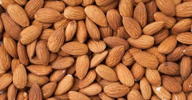 Snacking on almonds boosts gut health, according to new research. (Shutterstock Photo)