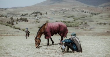 A Lesotho horseman sits on the ground as his Basotho pony grazes before competing in a traditional race in Semonkong, a remote town in the Maluti mountains, Lesotho, Oct. 15, 2022. (AFP Photo)