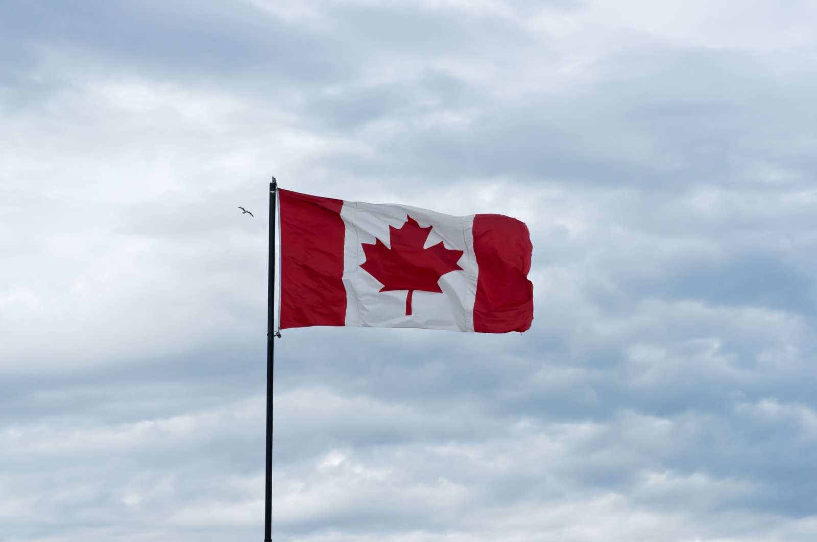 The Canadian flag. (Alamy via Reuters)
