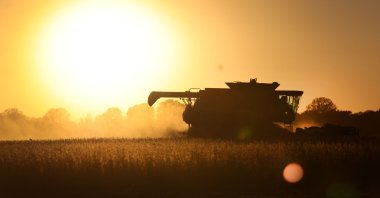 A farmer harvests soybeans in a field along the Mississippi River, near Wyatt, Missouri, U.S., Oct. 17, 2022. (AFP Photo)