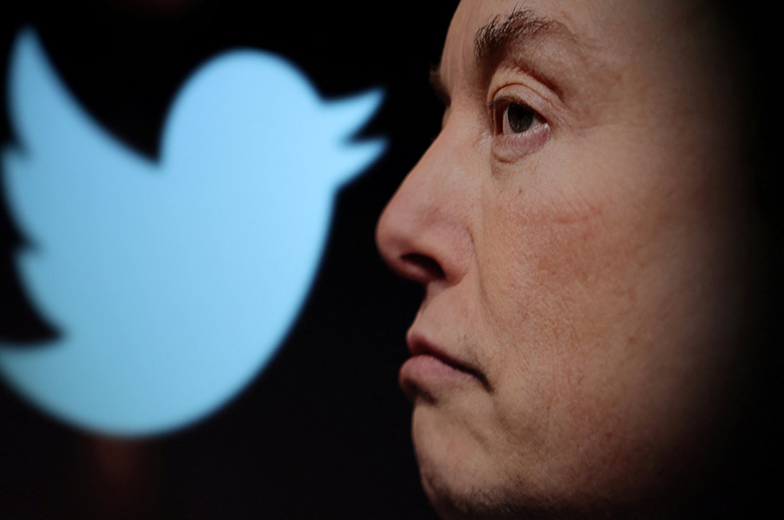 The Twitter logo and a photo of Elon Musk are displayed through a magnifier in this illustration taken Oct. 27, 2022. (Reuters Photo)